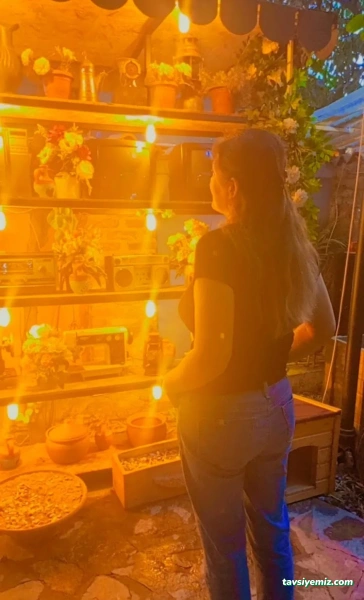 Efeler Saklı Bahçe Cafe