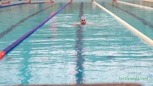 Ege Üniversitesi Prof.dr. Sermed Akgün Olimpik Kapalı Yüzme Havuzu