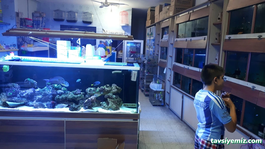 Ekin Pet Shop & Akvaryum