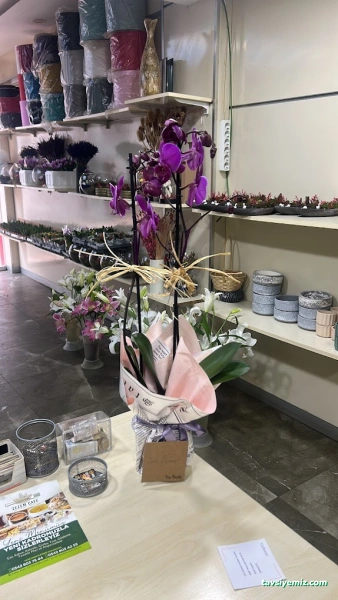 Ekol Çiçekçilik Samsun