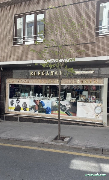 Elegance Gümüş Ve Saat
