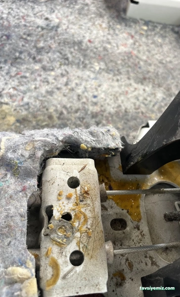 Elegance Oto Yıkama Tesisi Karaköprü Şanlıurfa