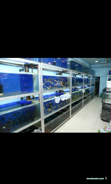 Elif Akvaryum Pet Shop