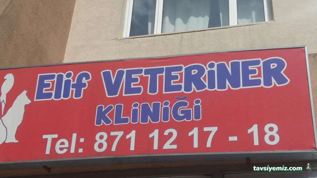 Elif Veteriner Kliniği