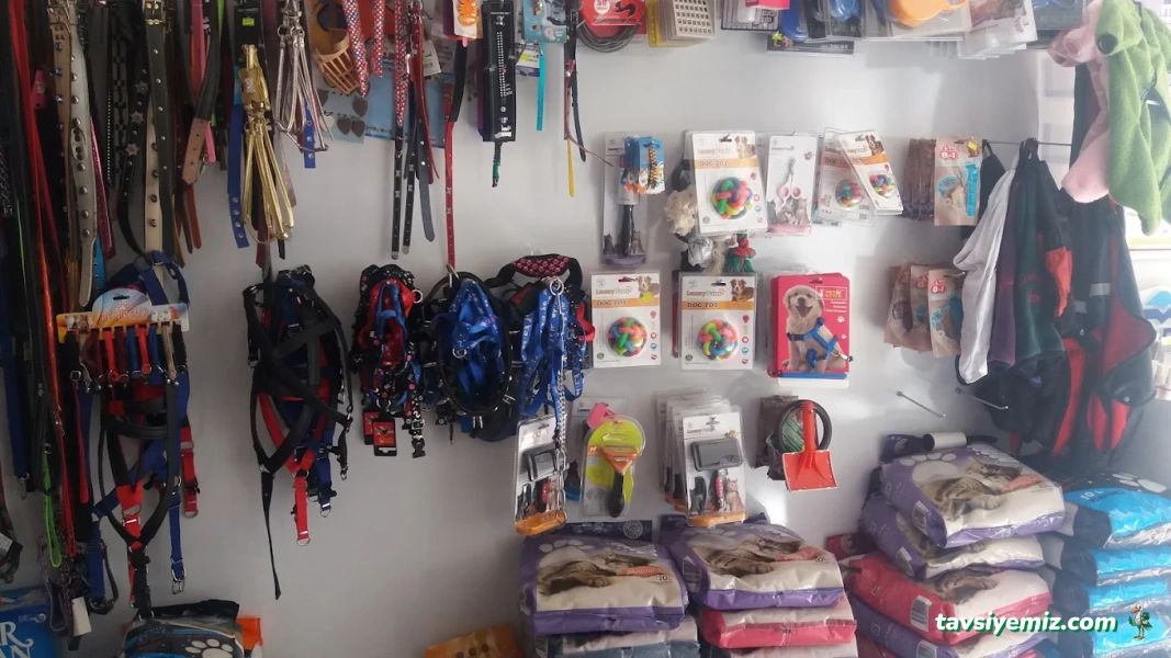 Elif Veteriner Kliniği