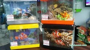 Elit Akvaryum Petshop