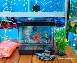 Elit Akvaryum Petshop