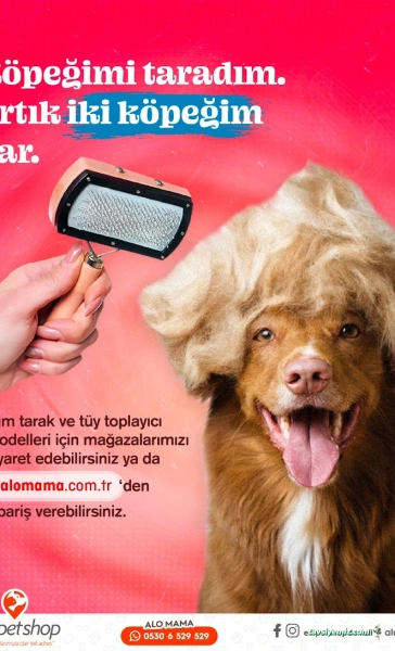 Elit Petshop Kıbrısşehitleri Şubesi