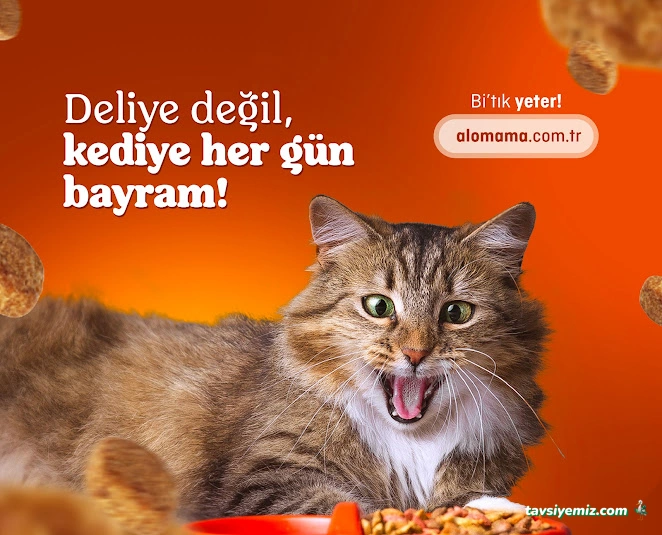 Elit Petshop Kıbrısşehitleri Şubesi