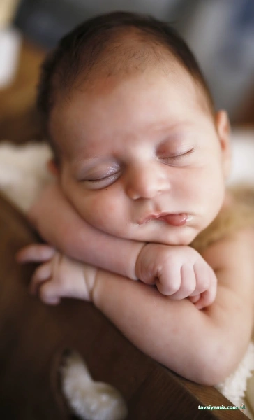 Eliz Acar Fotoğraf Stüdyosu