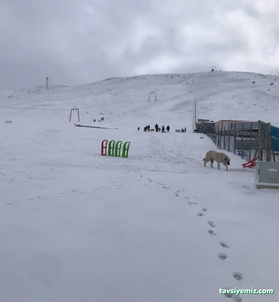 Elmadağ Kayak Merkezi
