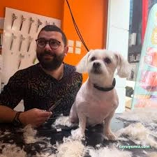 Emre Pet Shop & Pet Kuaför
