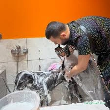 Emre Pet Shop & Pet Kuaför