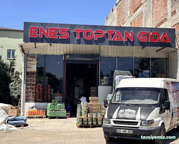 Enes Toptan Gıda