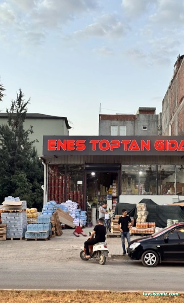 Enes Toptan Gıda
