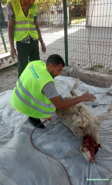 Er Grup Yalıtım Yapı İnşaat