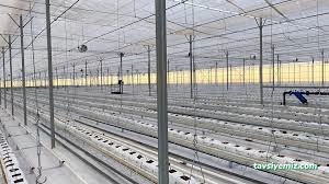 Ercansa - Agora Erzincan Sera