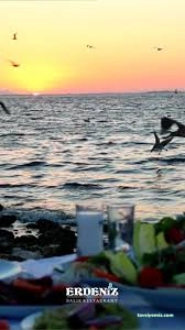 Erdenız Balikçilik