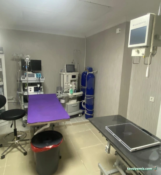 Erenköy Posvital Veteriner Kliniği 7/24