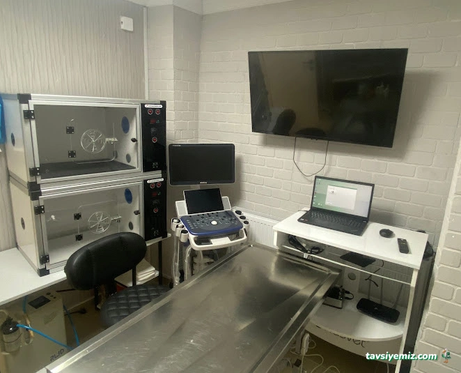 Erenköy Posvital Veteriner Kliniği 7/24