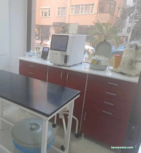 Erenköy Veteriner Kliniği