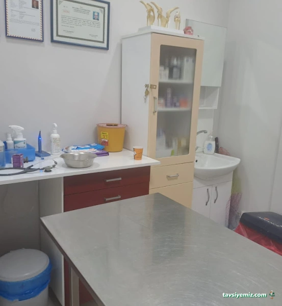 Erenköy Veteriner Kliniği