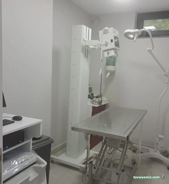 Erenköy Veteriner Kliniği