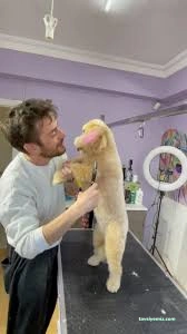 Er'ez Petshop& Kuaför