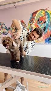 Er'ez Petshop& Kuaför