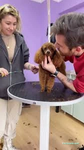 Er'ez Petshop& Kuaför