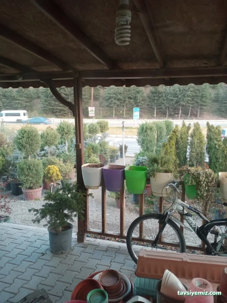 Erkam Peyzaj & Süs Bitkileri