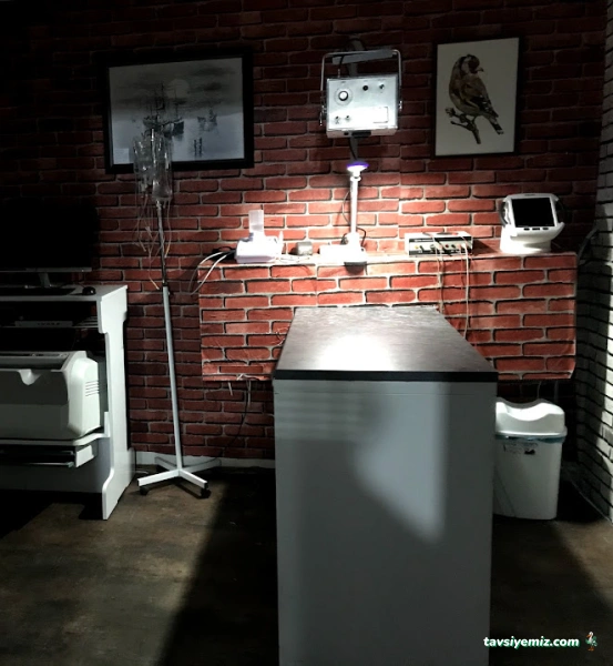 Erkan Arslan Veteriner Kliniği