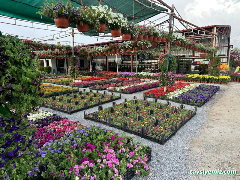 Erzincan Peyzaj Fidancılık