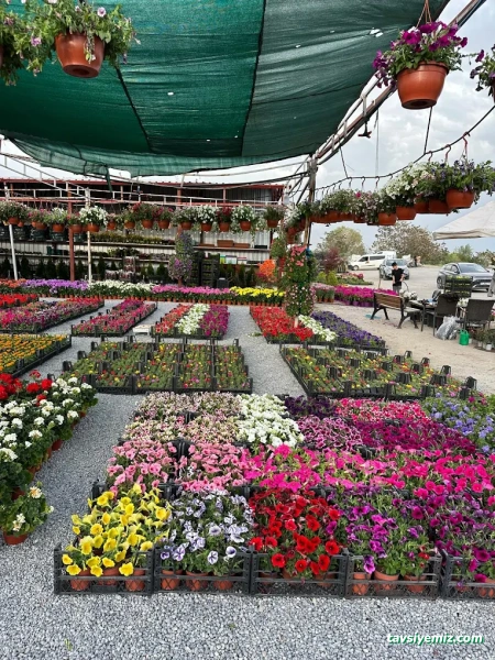 Erzincan Peyzaj Fidancılık