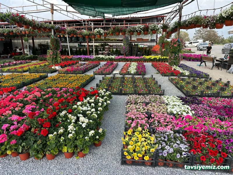 Erzincan Peyzaj Fidancılık