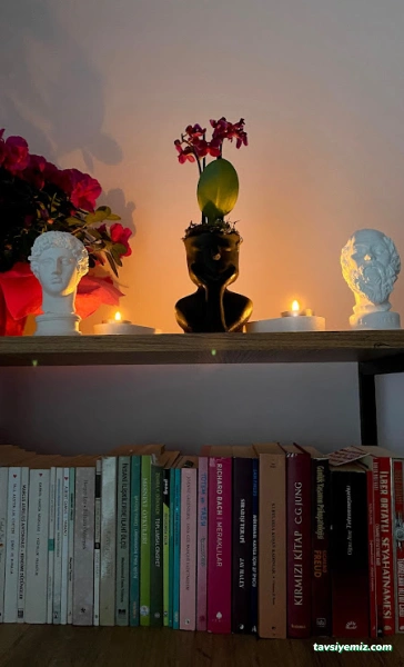 Erzincan Safe Psikolojik Danışmanlık