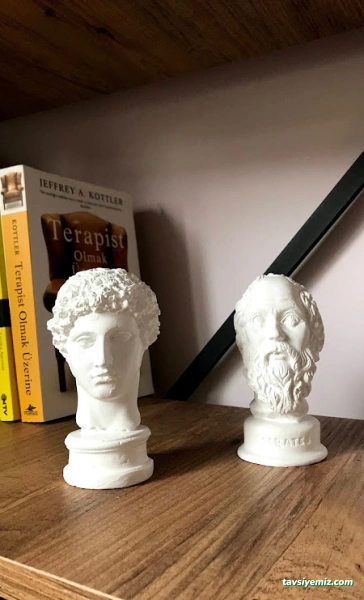 Erzincan Safe Psikolojik Danışmanlık