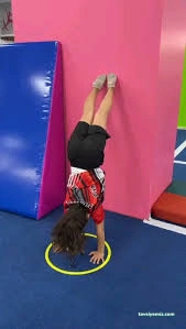 Erzincan Vefa Cimnastik Academy