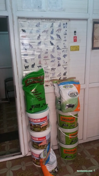 Eski Vilayet Veteriner Kliniği