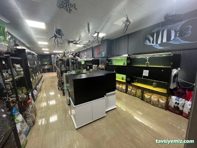 Eskişehir Akvaryum Dünyası