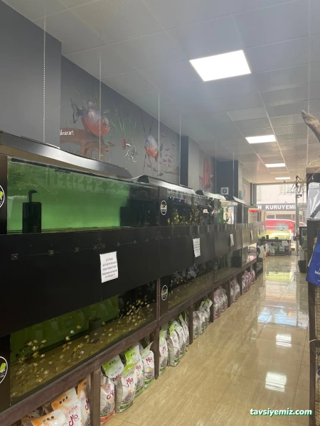Eskişehir Akvaryum Dünyası