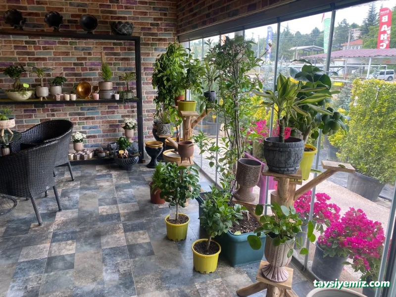 Eskişehir Hanedan Peyzaj