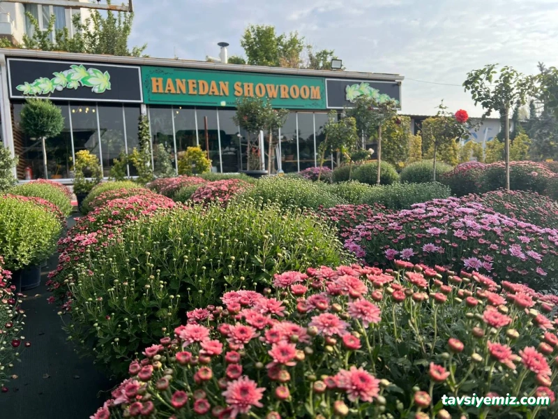 Eskişehir Hanedan Peyzaj