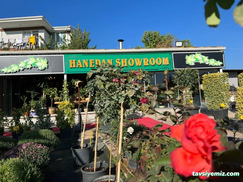 Eskişehir Hanedan Peyzaj