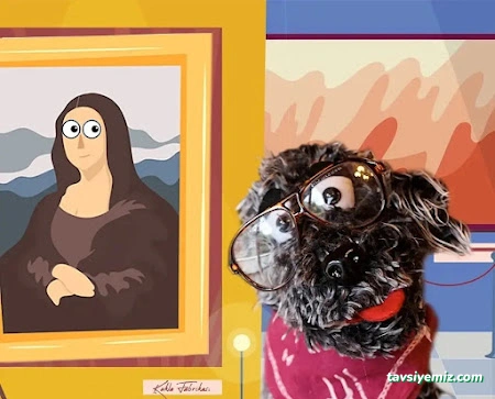 Eskişehir Kostüm Kiralama Maskot Kiralama Ve Doğum Günü Organizasyonu