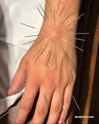 Espera Bütüncül Yaşam Merkezi