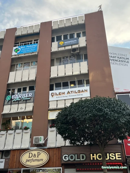 Estetizm Yalova Saç Ekimi