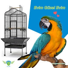 Evcilal Pet Shop