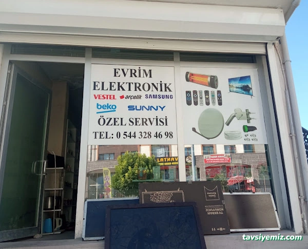 Evrim Elektronik