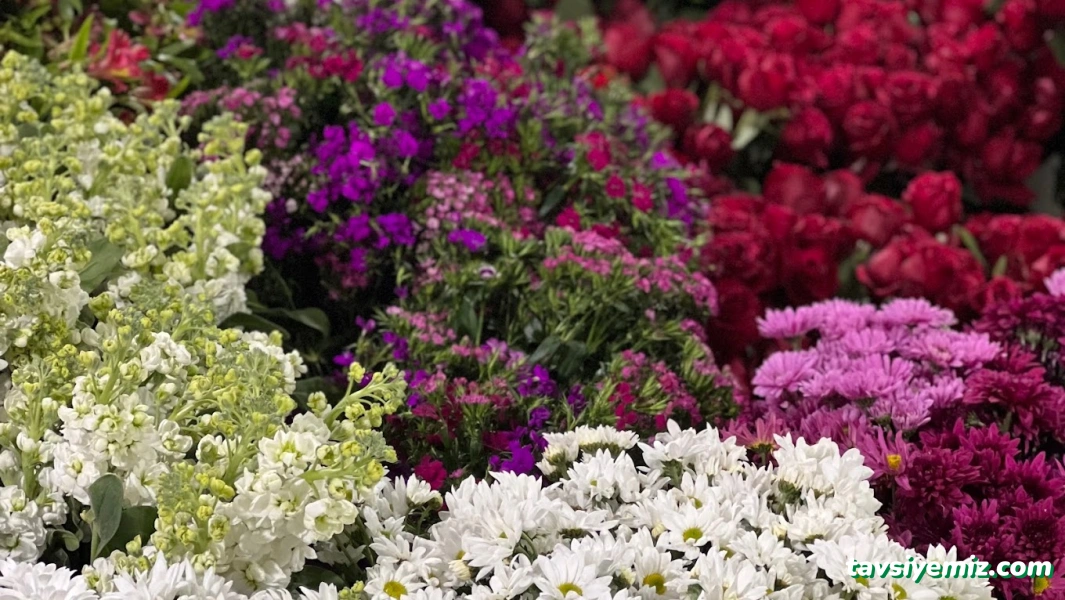 Ezel Çiçekçilik & Çikolata